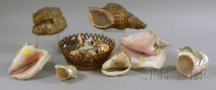 Appraisal: Approximately Thirty-four Seashells and Geodes