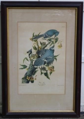 Appraisal: AFTER JOHN J AUDUBON COLORED LITHOGRAPH LATE TH OR EARLY