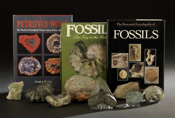 Appraisal: Collection of Twelve Fossils and Related Books including specimens a