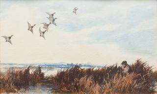 Appraisal: Roland H Clark Canvasback Huntingsigned Roland Clark lower leftwatercolor by