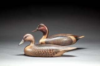 Appraisal: Pintail Pair by David B Ward b Pintail PairDavid B