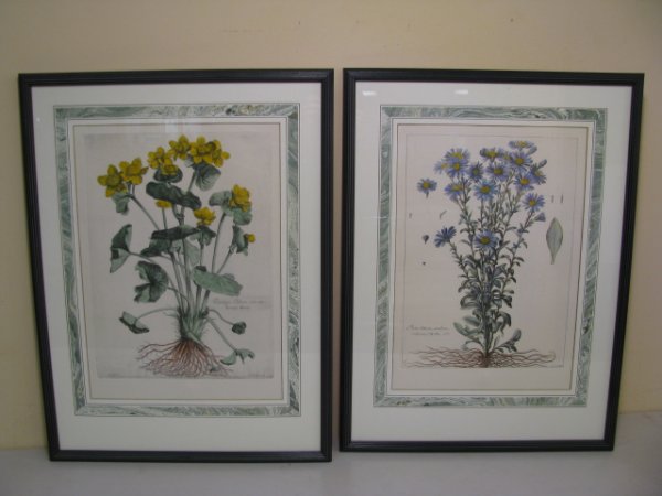 Appraisal: Pair of French floral botanical colored lithograph prints framed and