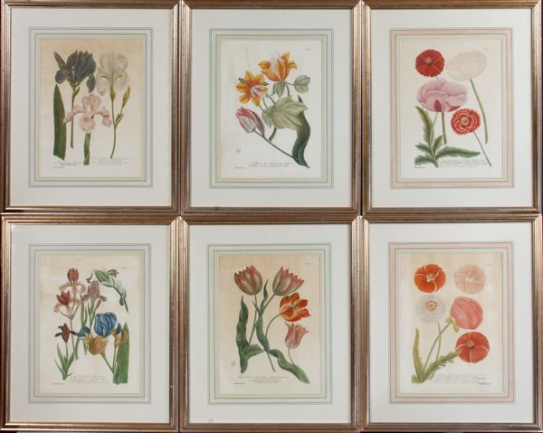 Appraisal: Group of six prints of flowers including poppies irises and