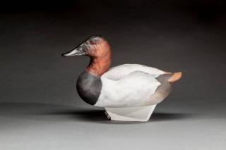 Appraisal: Canvasback Drake Jett Brunet b Galliano LA A decoy carved