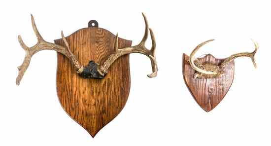 Appraisal: Two Antler Mounts mounted on wooden plaques Height of tallest