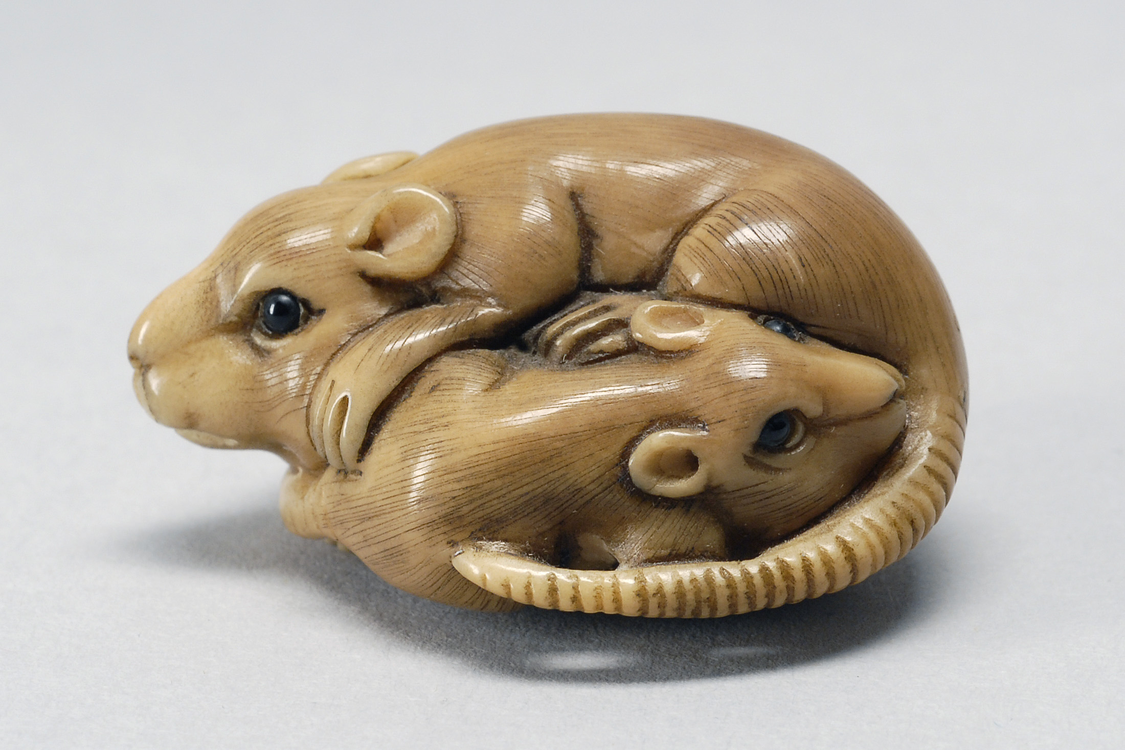 Appraisal: CARVED PALM NUT NETSUKE Early th CenturyIn the form of