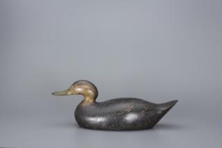 Appraisal: Early Premiere Grade Black Duck Mason Decoy Factory Early Premiere