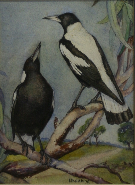 Appraisal: Ethal A King Magpies watercolour on paper signed 'Ethal A