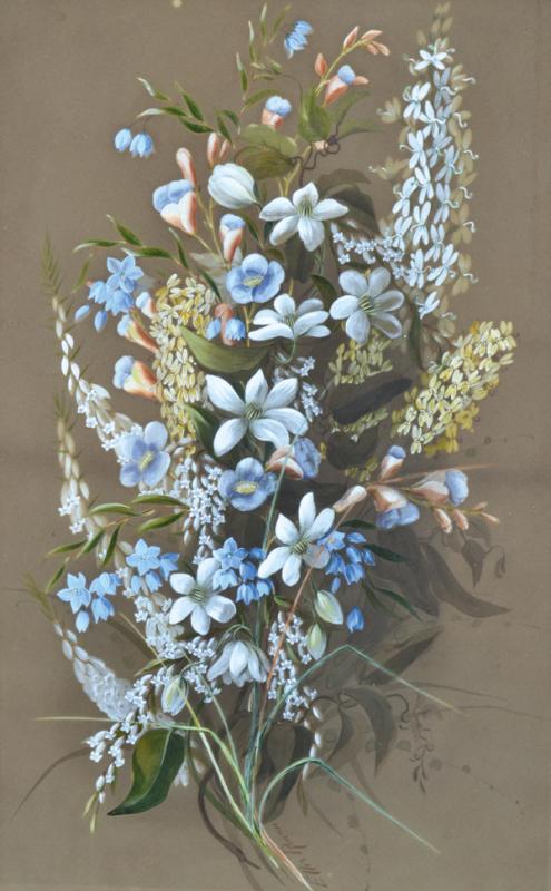 Appraisal: ELLIS ROWAN - Western Australian Wildflowers gouache ELLIS ROWAN -