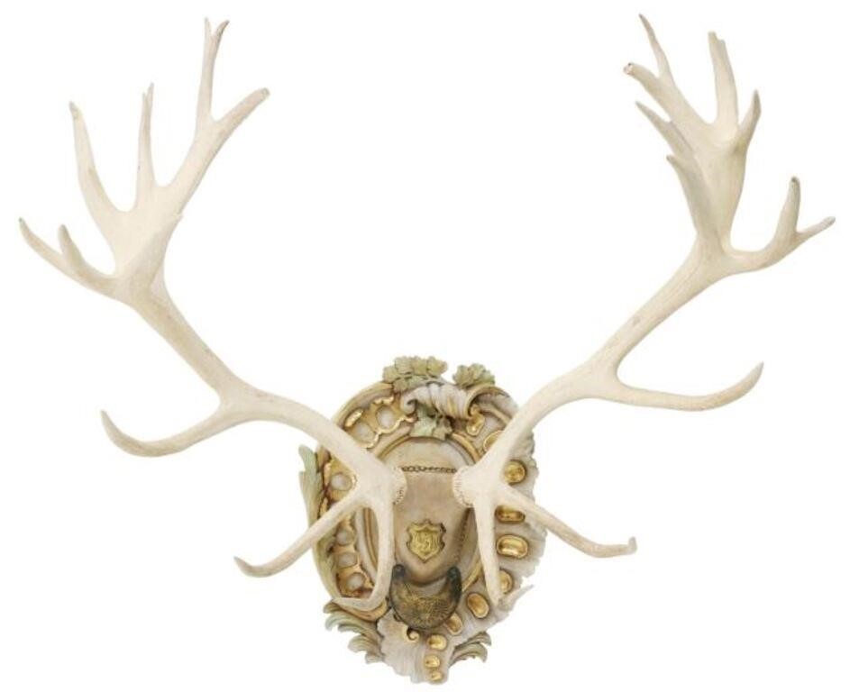 Appraisal: Habsburg red stag antler trophy mount th c large point