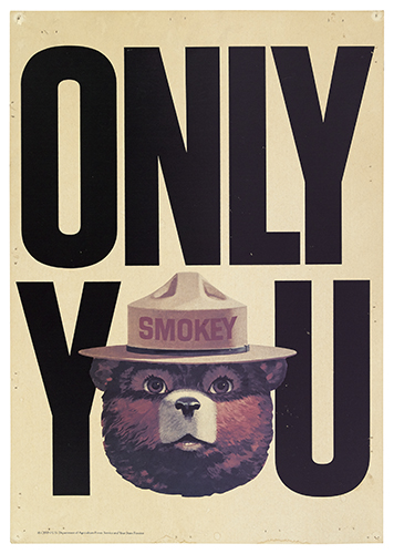 Appraisal: VARIOUS ARTISTS ONLY YOU CAN PREVENT FOREST FIRES Group of