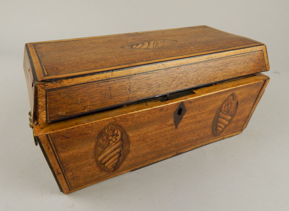 Appraisal: A George III mahogany satinwood and shell inlaid tea caddy