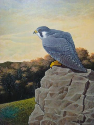 Appraisal: SMITH Gerard O C Peregrine Falcon Wyeth Signed LR Gerard