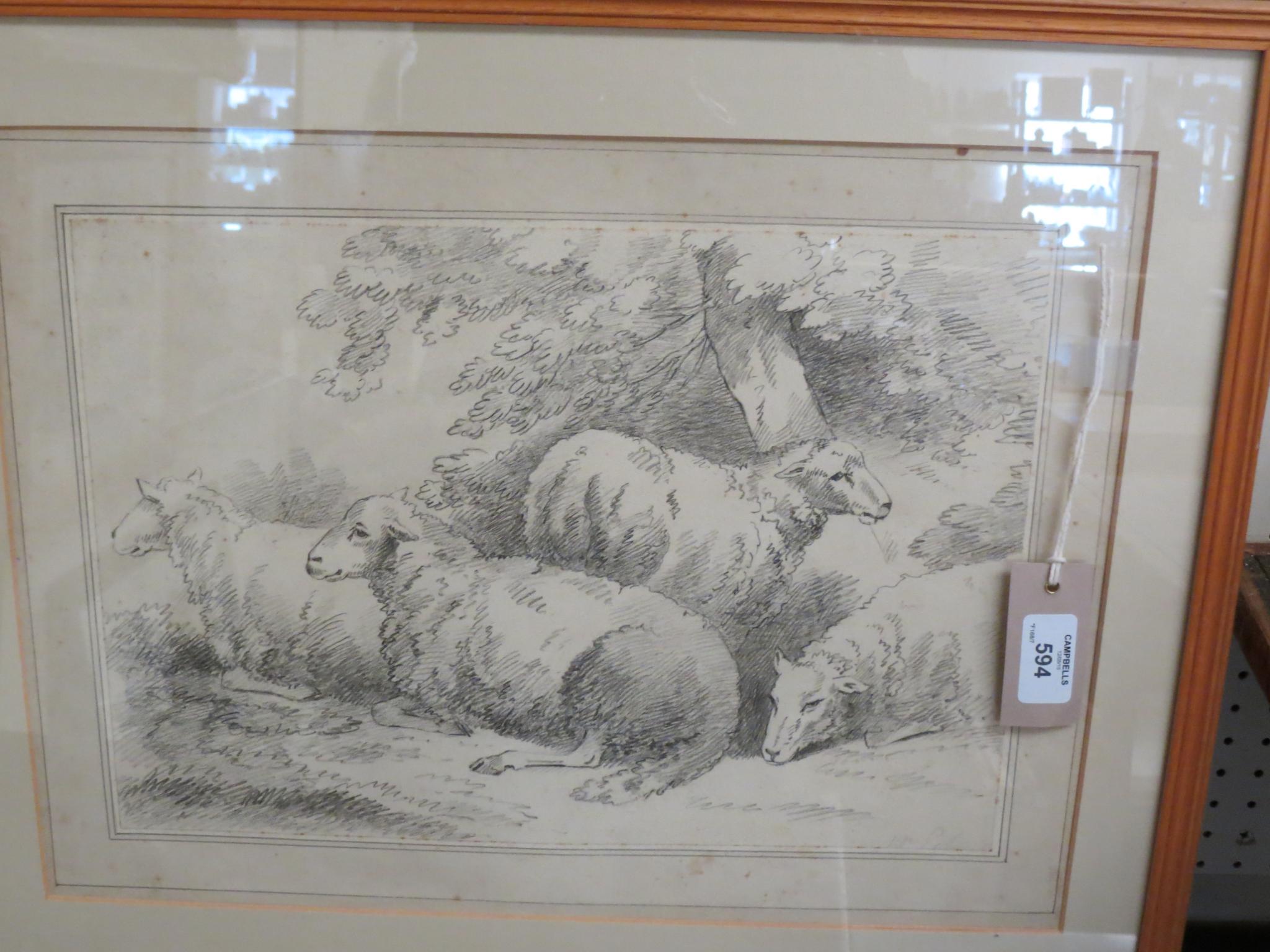 Appraisal: A pencil drawing - grazing sheep x in