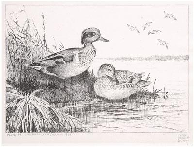 Appraisal: Hunt Federal duck stamp print Green-Winged Teal with accompanying stamp