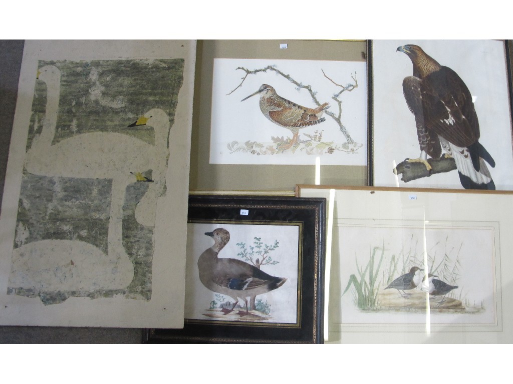 Appraisal: Lot comprising four ornithological print plus an oil on board