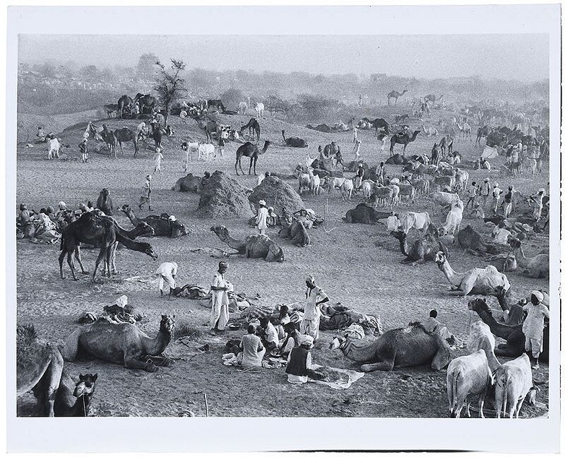 Appraisal: Marc Riboud French - Camel Market Afghanistan artist stamp verso