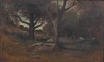 Appraisal: Unknown Artist American School th Century Wooded interior oil on