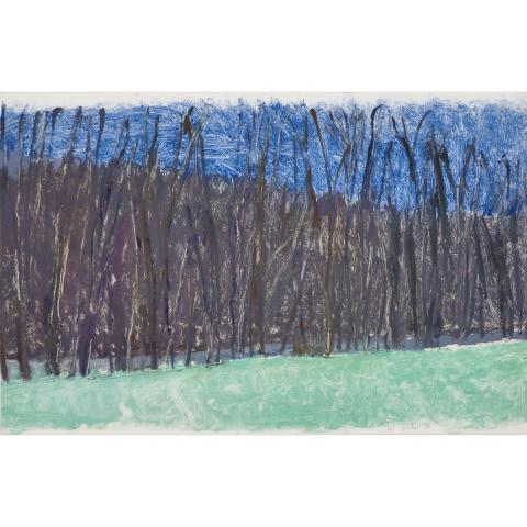 Appraisal: Wolf Kahn - UNTITLED WOODED LANDSCAPE Mixed media with pastel