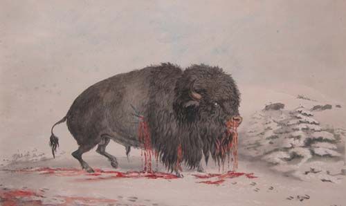 Appraisal: Wounded Buffalo Hand colored lithograph Catlin George x inches In