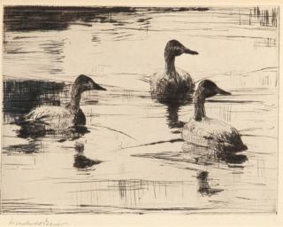 Appraisal: Frank W Benson Alert signed Frank W Benson lower leftdrypoint