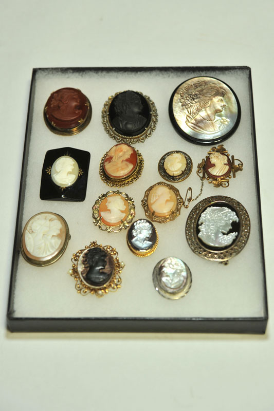 Appraisal: FOURTEEN CAMEO BROOCHES Most th century One double profile all