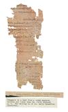 Appraisal: MANUSCRIPT LEAVES Three papyrus leaves one Egyptian Demotic x mm