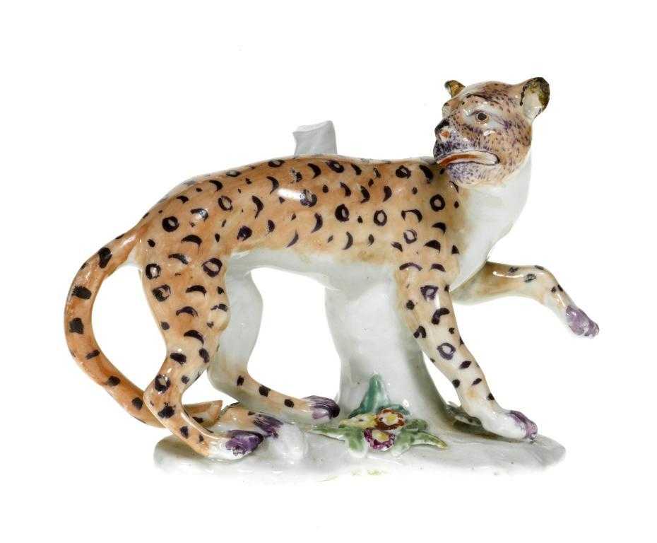 Appraisal: A DERBY MODEL OF A PROWLING LEOPARD carefully painted in