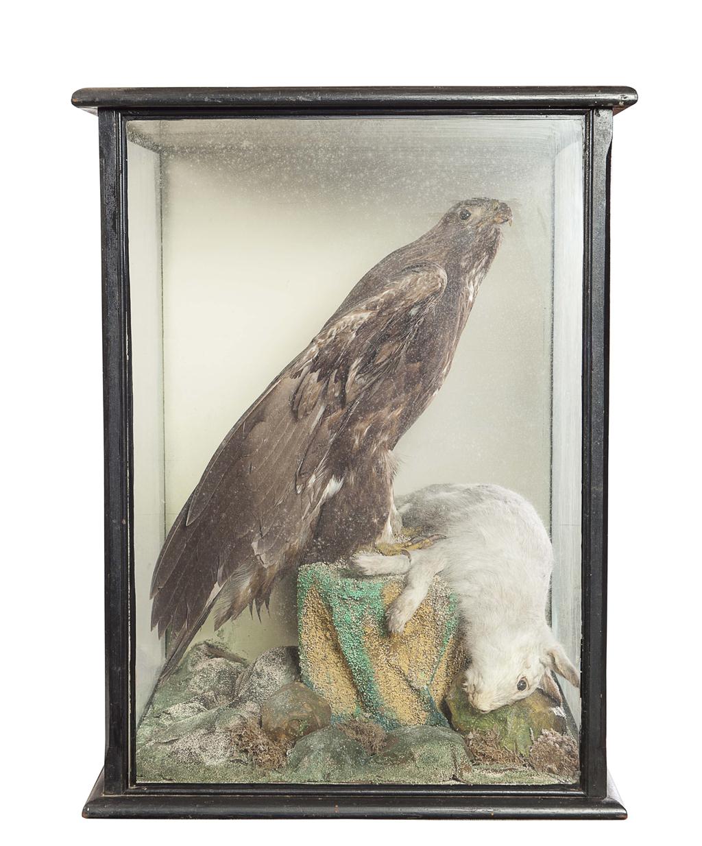 Appraisal: TAXIDERMY GROUP OF GOLDEN EAGLE AND DEAD HARE LATE TH