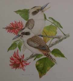 Appraisal: Peter Longhurst born Kookaburras Lorikeets watercolour each signed 'Peter Longhurst'