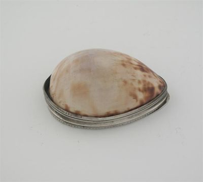 Appraisal: A George III mounted courie shell snuff box with engraved