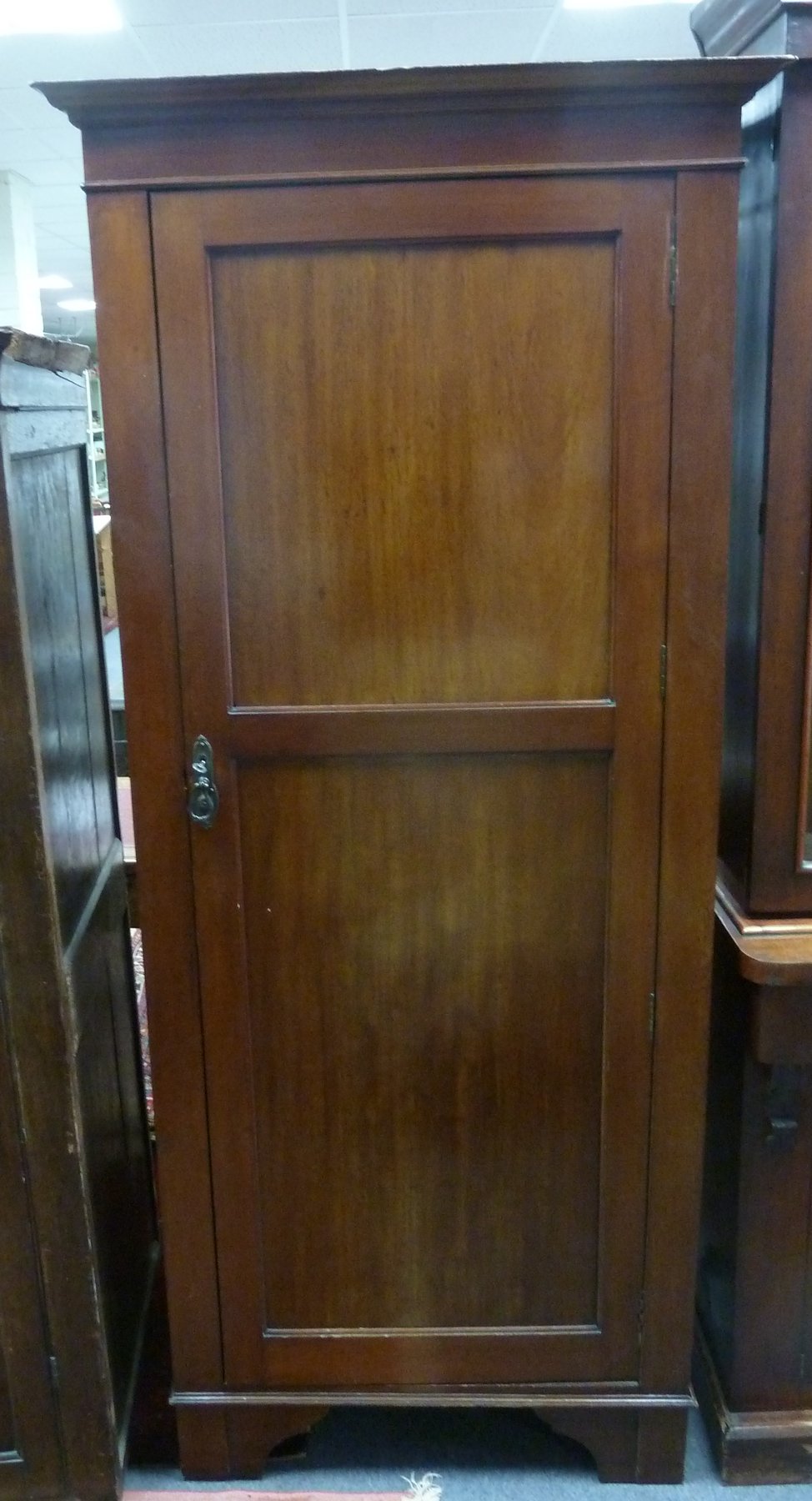 Appraisal: A mahogany wardrobe enclosed by a panel door cm wide