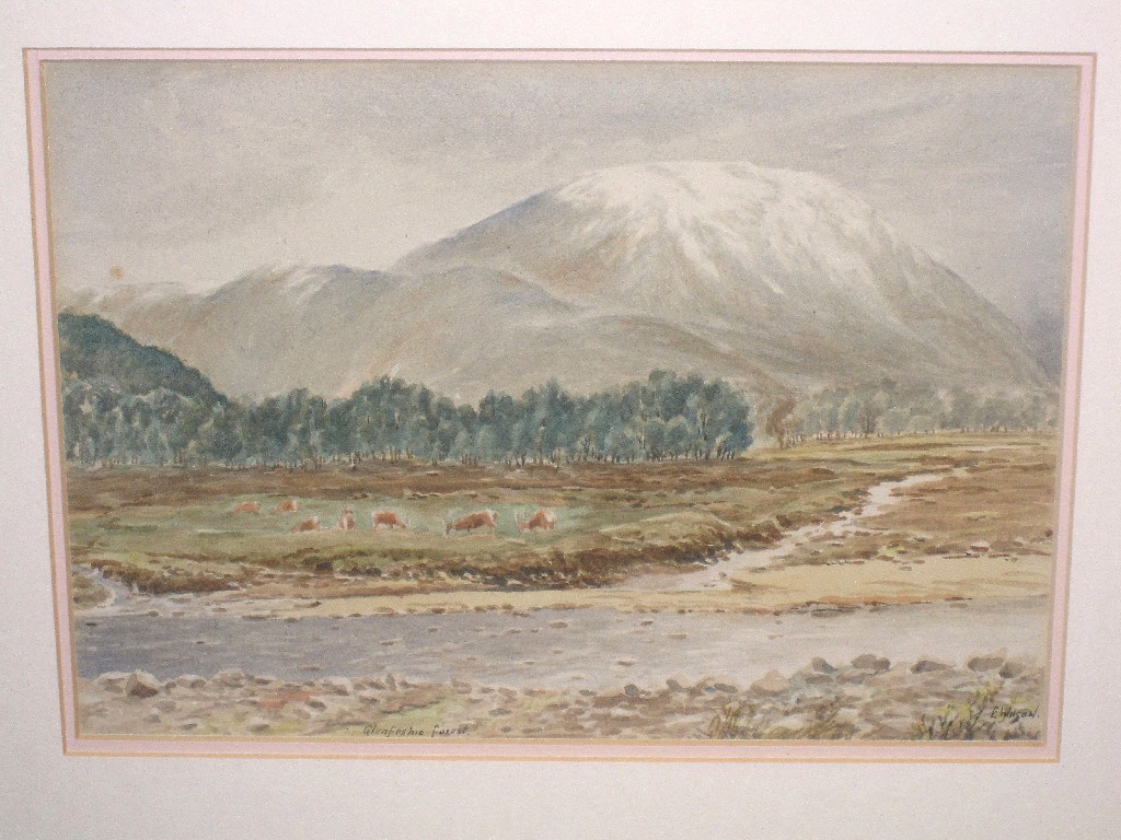 Appraisal: E WILSON Watercolour 'Glen Feshie Forrest' signed and entitled