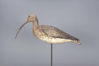 Appraisal: Long-Billed Curlew Christo Earnest Burano Italy c in long This