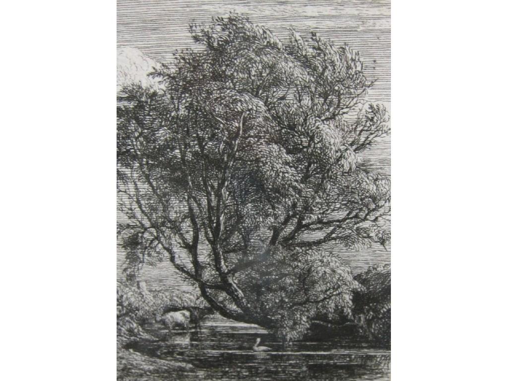 Appraisal: SAMUEL PALMER The Willow etching Pl x in