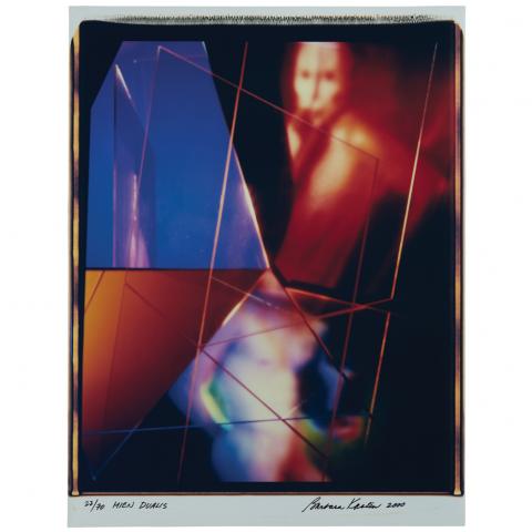 Appraisal: KASTEN BARBARA b Mien Dualis Large format Polacolor print x