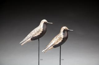 Appraisal: Golden Plover by A Elmer Crowell Golden Plover A Elmer