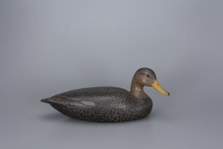 Appraisal: High-Head Black Duck Drake Louis C Rathmell - Danbury CT