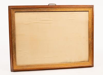 Appraisal: A wall hanging specimen display case glazed total size cm