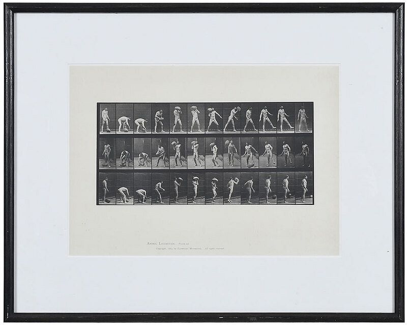 Appraisal: Eadweard Muybridge British - Animal Locomotion Plate man with football