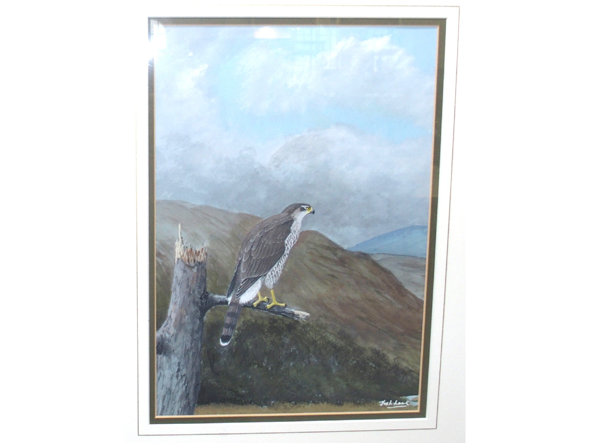 Appraisal: DAVID WOLFE MURRAY Bird of Prey inscribed 'Fish Hawk' gouache