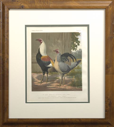 Appraisal: British School Fourth Quarter th Century Hens suite of six