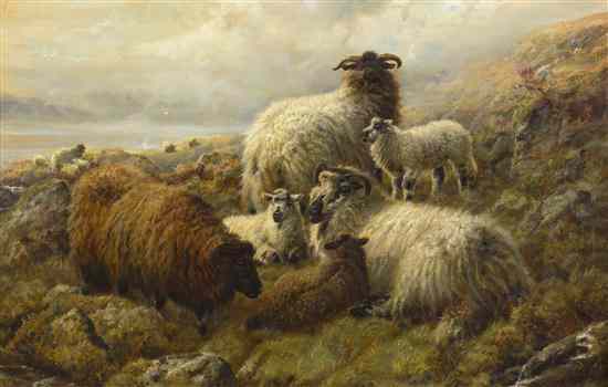 Appraisal: Robert Watson British - Highland Sheep oil on canvas signed