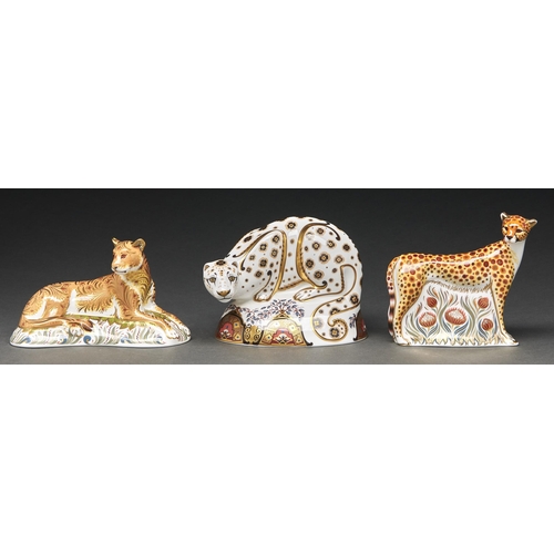 Appraisal: Snow Leopard Cheetah and Lioness Three Royal Crown Derby paperweights