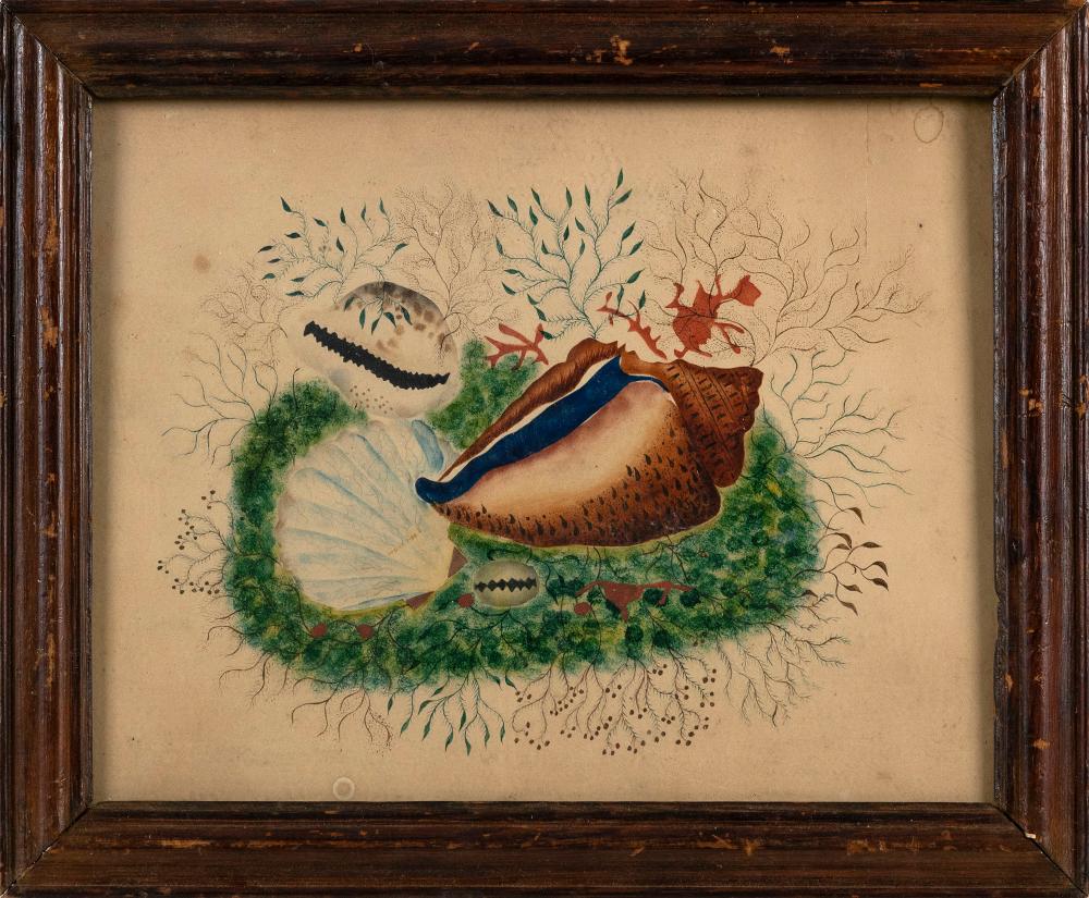 Appraisal: THEOREM PAINTING OF SEA LIFE LATE TH EARLY TH CENTURY