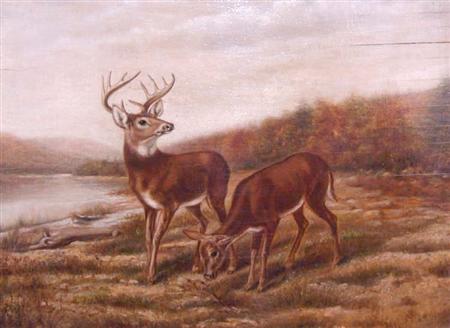 Appraisal: Elias T Abberley American th th Century Deer in a