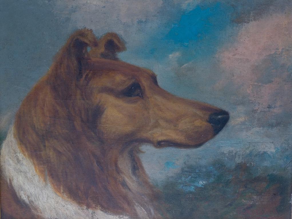 Appraisal: ENGLISH SCHOOL th CENTURY STUDY OF A COLLIE oil on