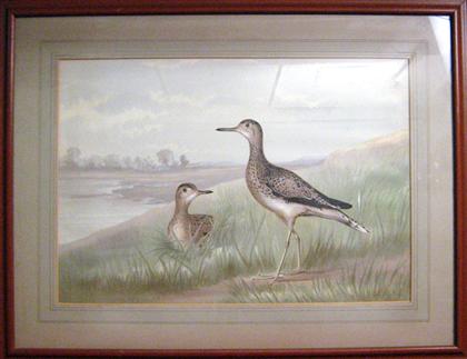 Appraisal: FRAMED COLORED LITHOGRAPH OF PLOVERS TH CENTURY indestinkly signed lower