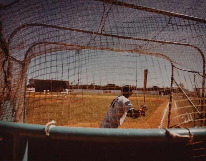 Appraisal: STEPHEN SHORE b BATTING CAGE YANKEES SPRING TRAINING Cibachrome print