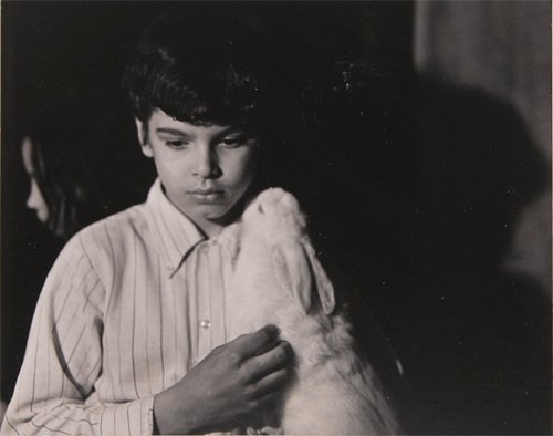 Appraisal: Boy with Rabbit Pikesville Artist Levy Builder American born circa